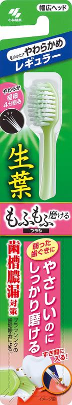 Rakuten - 生葉(しょうよう) もふもふ磨けるブラシ 歯ブラシ レギュラーヘッド やわらかめ 1本 歯槽膿漏対策