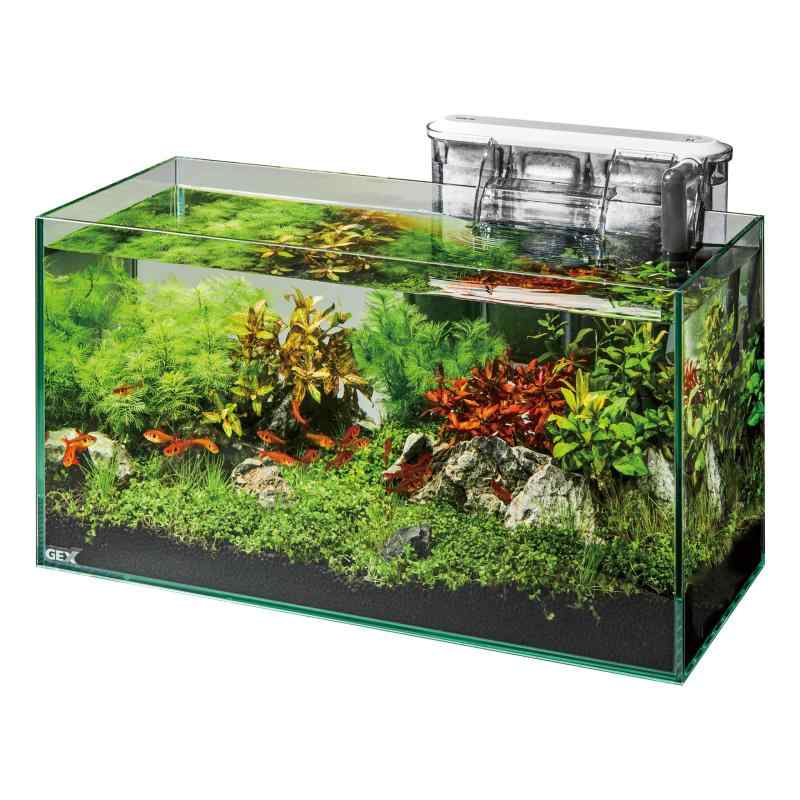 GEX ジェックス グラステリアスリム450 6点セット DCポンプ フレームレス水槽 W45×D20×H22cm 約17L【EC】