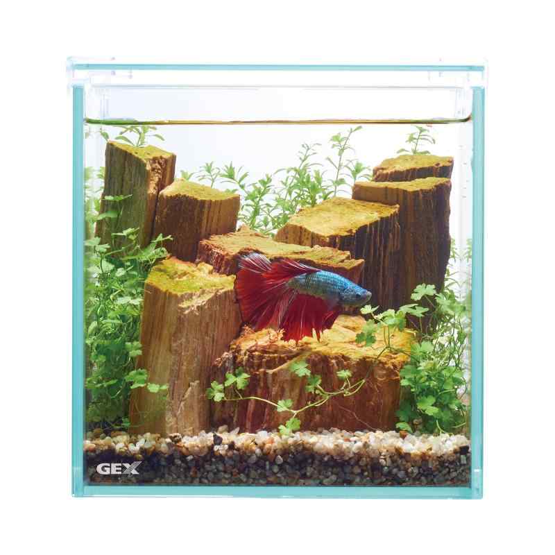 ジェックス GEX AQUARIUM グラステリア フィット 150CUBE plus フレームレス水槽 ガラスフタ付