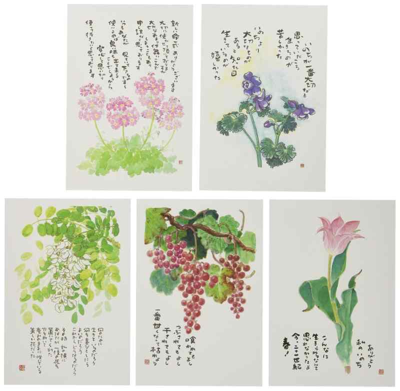 グロリアアーツ 星野富弘 絵はがき 5枚セレクトシリーズ ありがとう No.1205