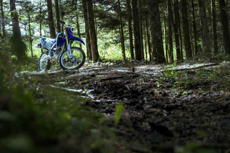 アイアールシー(iRC Tire) 129430 GP-610 80/100-21 M/C 51P WT（チューブタイプ） Front（フロント）