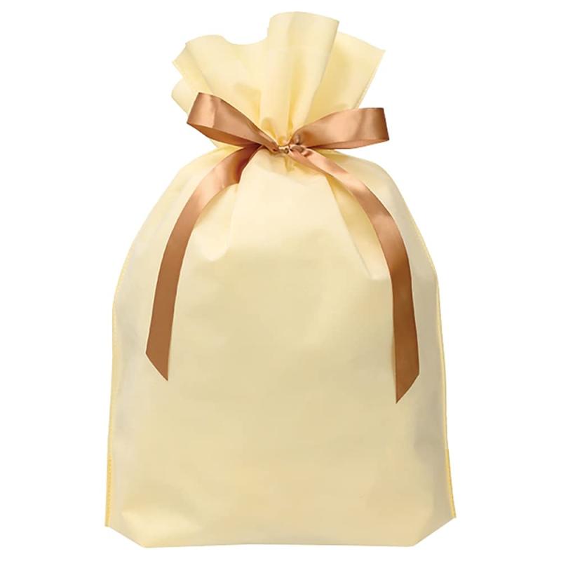 �إå� 2���Կ��ۥ�ܥ��եХå� 45��63��15cm 10�� ���꡼�� L HEADS DFC-RBL