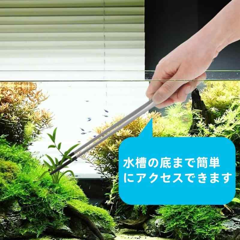 爬虫類用 餌やりピンセット 2本セット ストレート&カーブロングピンセット 蜥蜴 カエル トカゲ 給餌ツール ゴムチップ付き