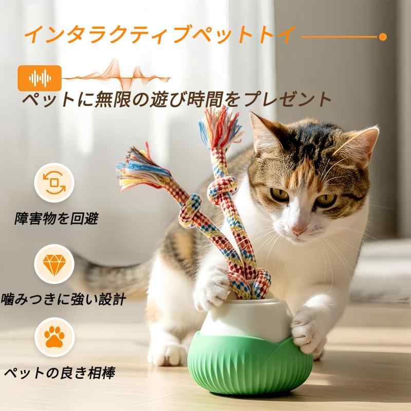 DEER-AFFLUX 猫 おもちゃ 自動 ね...の紹介画像2
