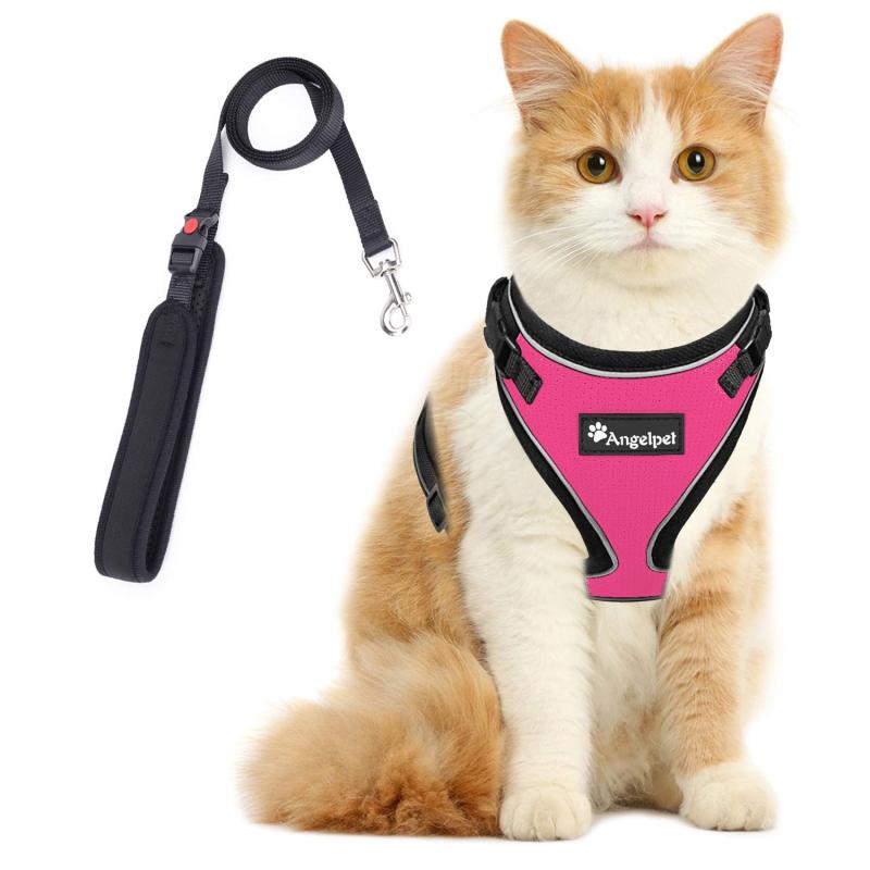 Pet Goods - 猫 猫用 ハーネス 胴輪 猫具 ねこ ネコ 子猫 子犬 小型犬 散歩 お出かけ 抜けない ベスト ソフト胸あて 軽量 頭を通さずマジックテープで装着 サイズ調節可 夜反射 通気メッシュ (Sサイズ (x 1