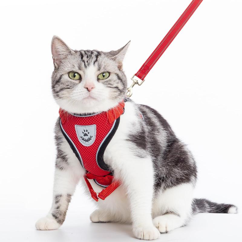 PUPTECK 猫 ハーネス リード セット 猫用ハーネス 猫牽引ロープ 猫用胴輪 ペット用品 人気 可愛い おしゃれ リード付き 夜間反射 調節可能 着脱簡単 抜けない 通気メッシュ 軽量 耐久性 安全