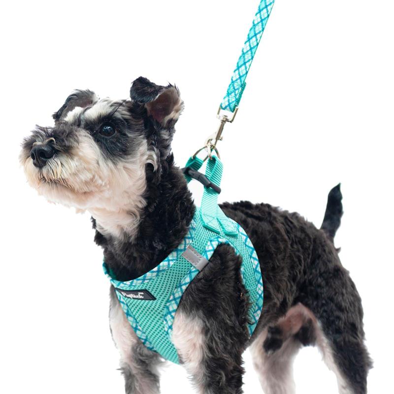 PUPTECK 犬 ハーネス リード セット 抜けない 胴輪 調整可能 軽量 メッシュ 通気性 ソフト 快適 着脱簡単 反射材付き 引っ張り防止 喉に優しい 耐久性 散歩 アウトドア 安全 老犬介護 しつけ お