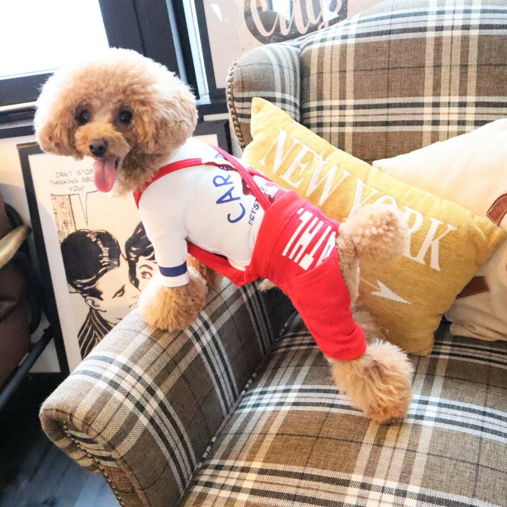 人気商品　犬　犬服　犬の服　パンツ　スエットパンツ その1