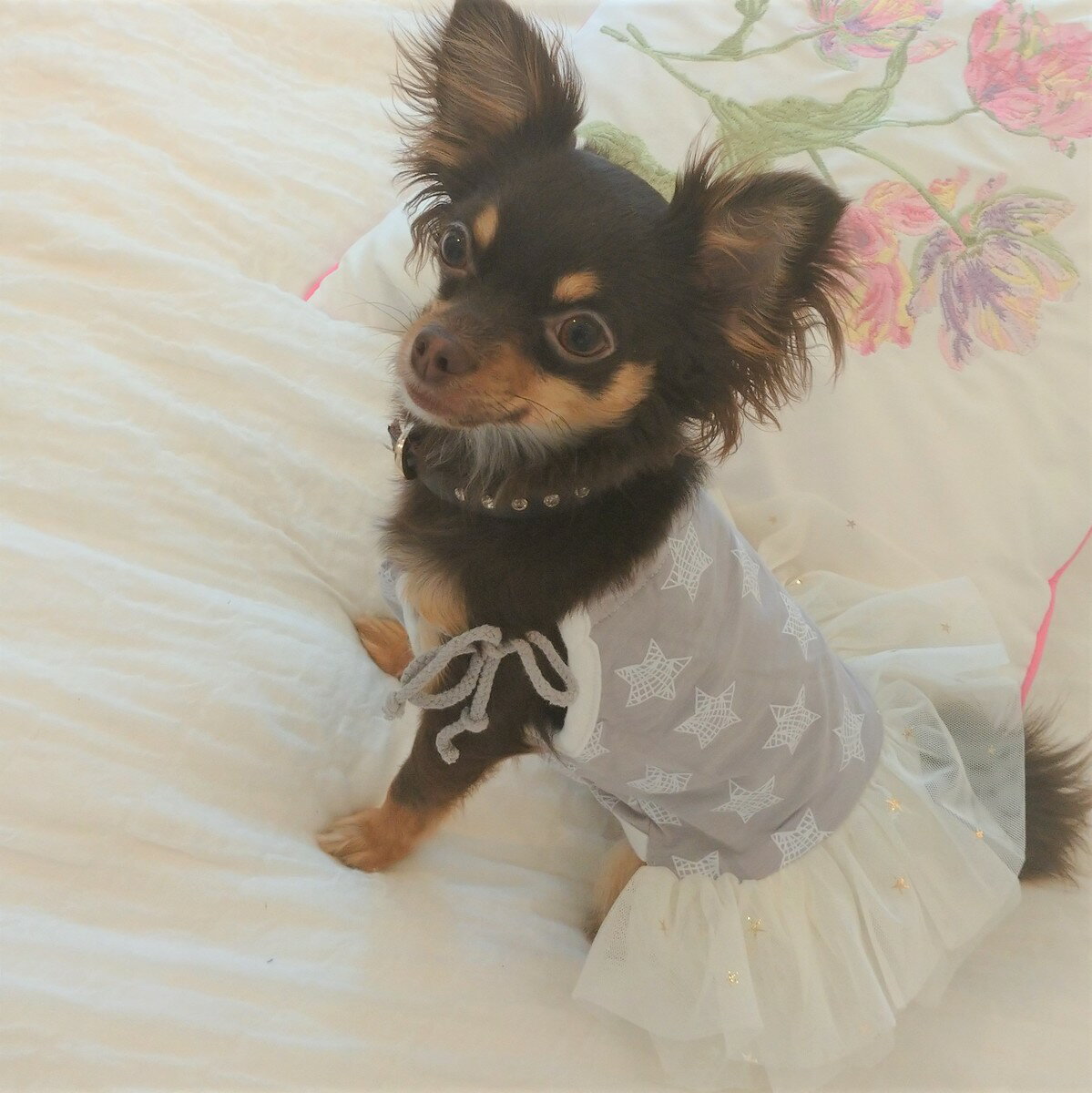 乐天商城 - 犬　犬服　小型犬　ドレス　ワンピース　チュチュ　シンプルかわいいチュチュワンピース