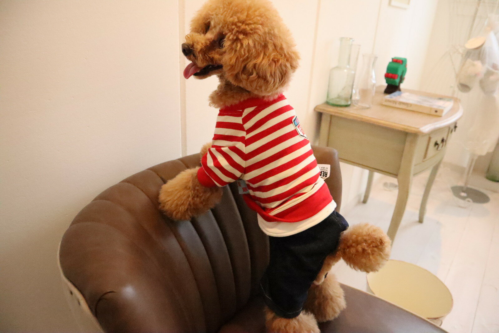 犬　犬服　犬の服　小型犬　パンツ　ロンパース　カバーオール　つなぎボーダーロンパース