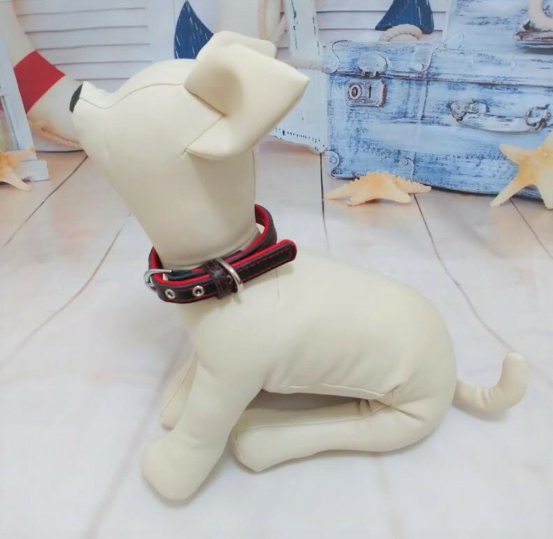 ����ǭ��������ǭ�����쥶�������ء����������ġ��ȥ󥫥顼����