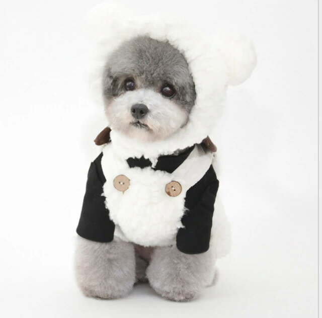 犬　犬服　小型犬　パンツ　ロンパース　クマ　帽子クマさんロンパースセット