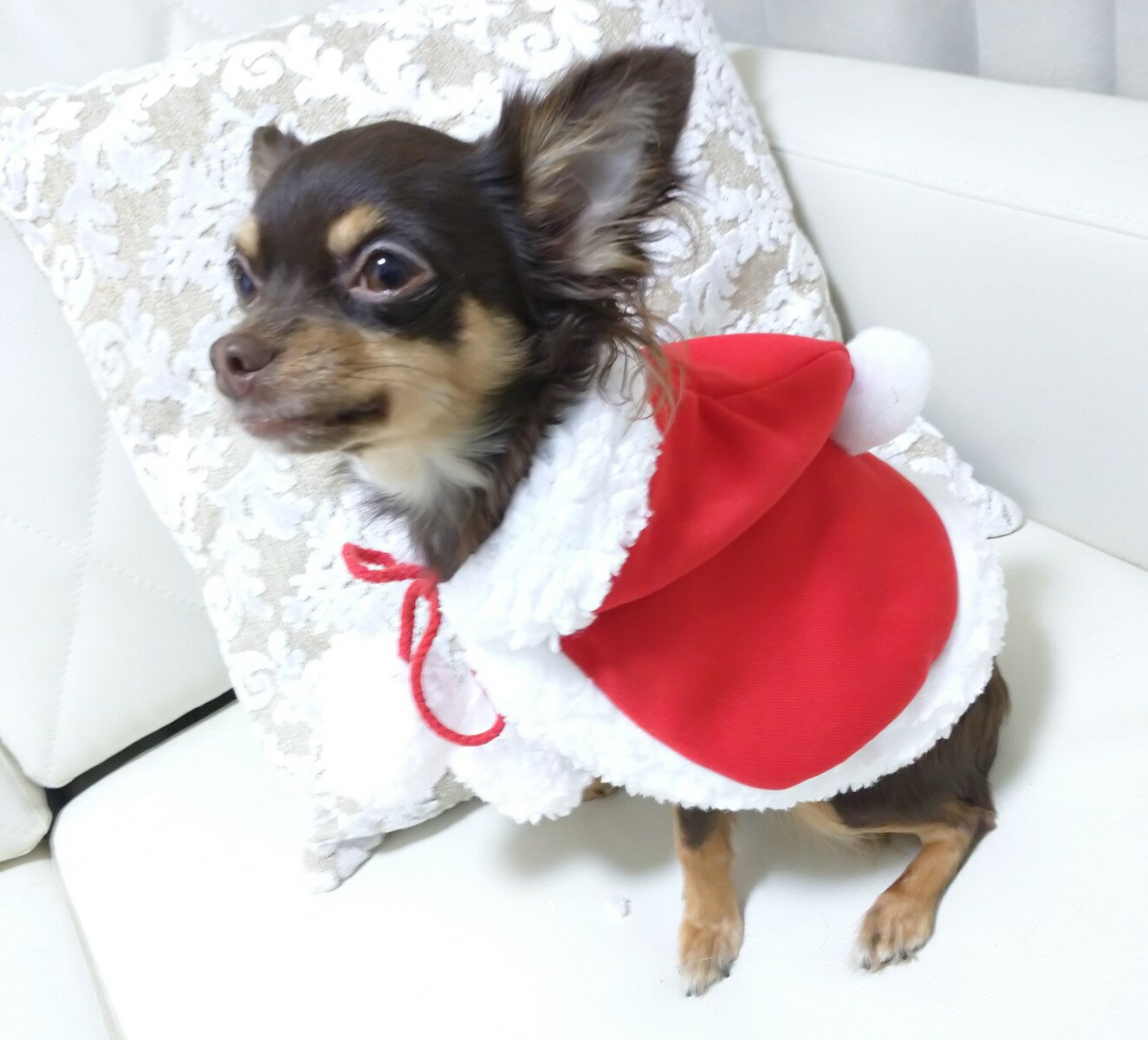 ペット　犬　犬服　犬の服　猫の服小型犬　ケープ　マント　コスプレクリスマスマント