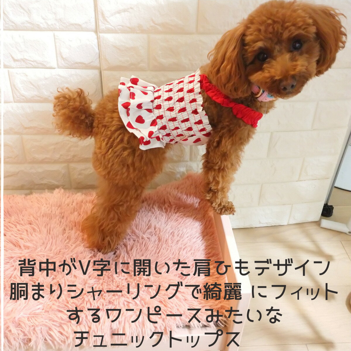 B級品 犬 犬服 犬の服 ドッグウエアトップス...の紹介画像3