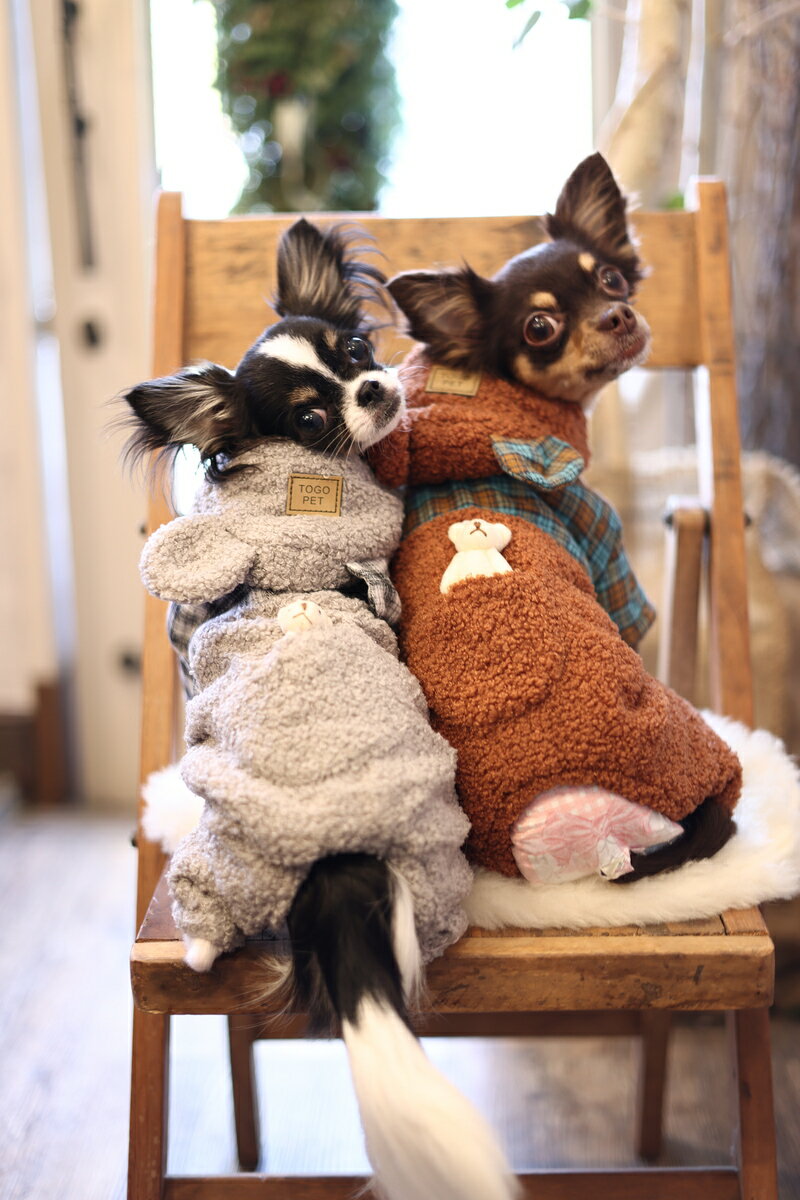 犬　犬服　犬の服　小型犬　秋冬パンツ　ロンパース　カバーオール　全身クマさんロンパース