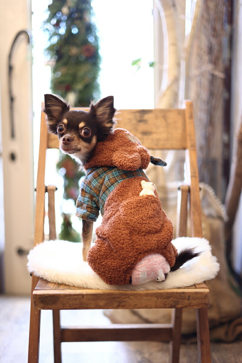犬　犬服　犬の服　小型犬　秋冬パンツ　ロンパース　カバーオール　全身クマさんロンパース