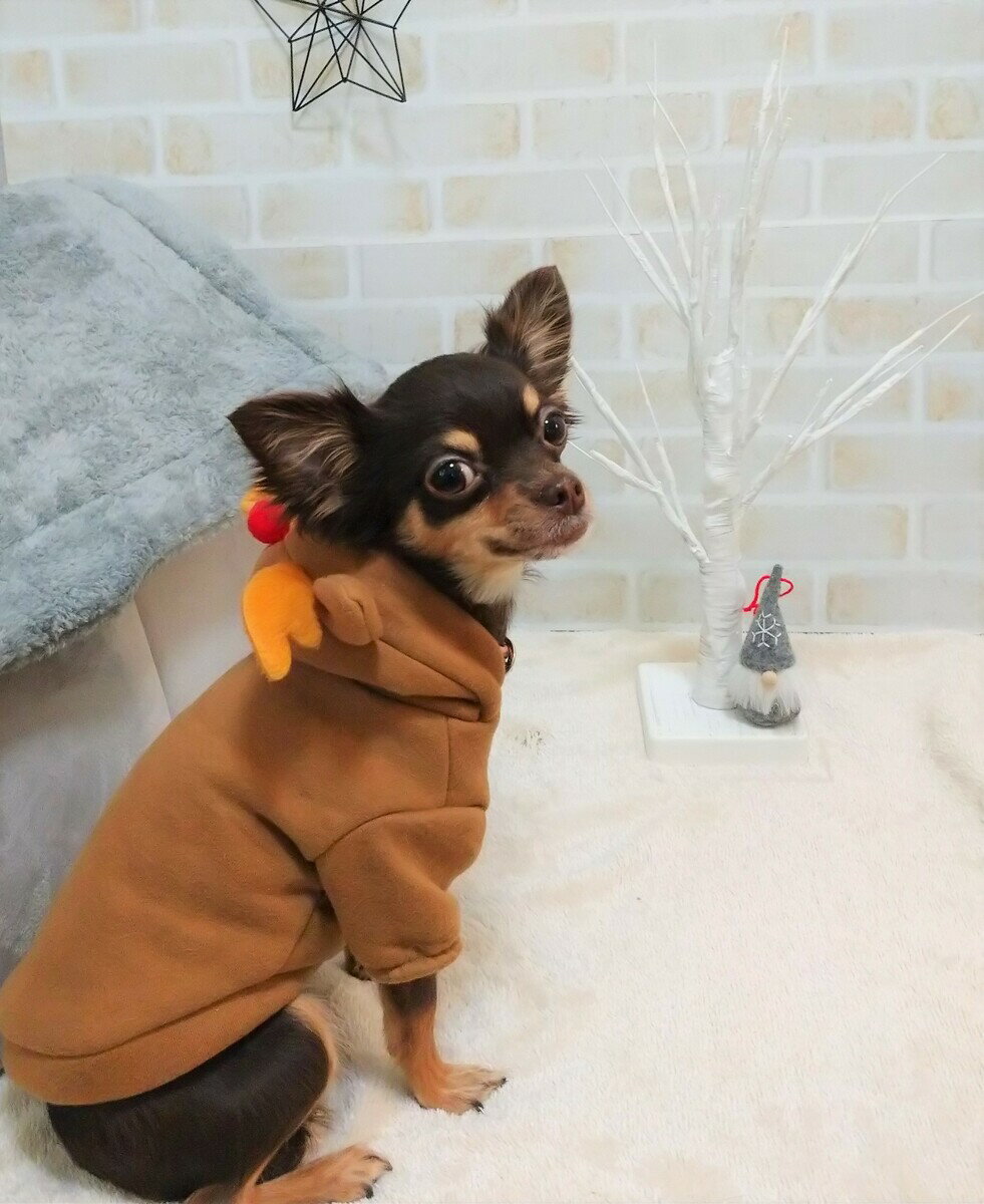 新商品　ペット　犬　犬服　小型犬　コスプレ　クリスマス　トナカイ　トレーナー　パーカートナカイパーカーのサムネイル