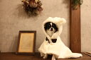 新商品 犬 犬服 犬の服 小型犬 ボア 秋冬 クマ マントアウター クマフードマント