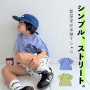 【20%OFF】 刺繍Tシャツ [ キッズ レディース メンズ 男の子 女の子 夏 コーデ お揃い 半袖 ユニセックス 80cm 90cm 100cm 110c...