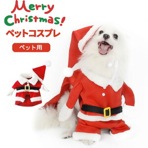 2022｜暖かくて可愛い！中型犬用のクリスマスコスプレのおすすめを教えて！