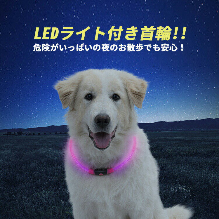 【クーポン利用で10%OFF】 犬 首輪 光る 猫 ペット 光る首輪 チョーカー おしゃれ かわいい 可愛い ライト 夜間 散歩 安全 ledライト USB充電式 軽量 サイズ調整可能 小型犬 中型犬 大型犬 子犬 子猫 柔らかい シンプル 防災 防水 犬用品 グッズ プレゼント ギフト 送料無料