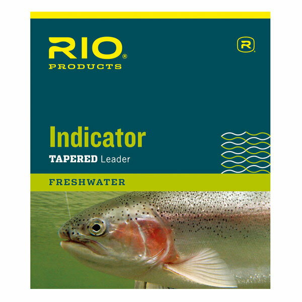 RIO Indicator Leader