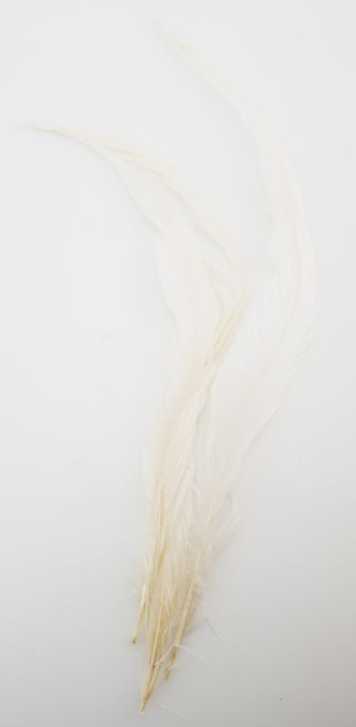 CANAL　キャナル　スペイコックL　SPEY COCK　L