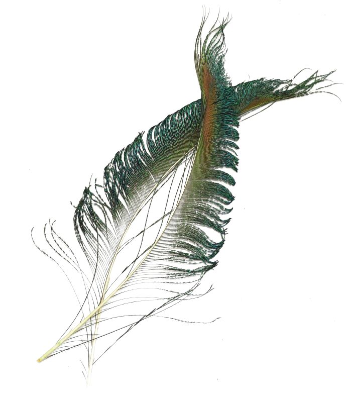 CANAL キャナル　ピーコックソード Peacock Material Sword