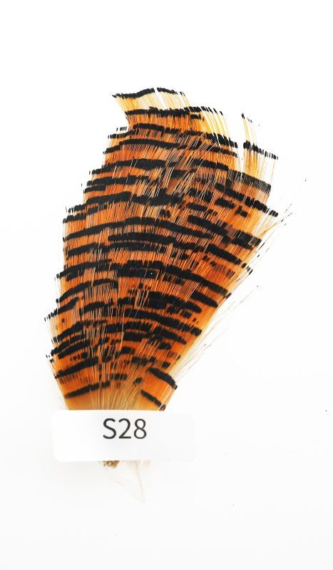 CANAL　キャナル　ティペット　TPPET