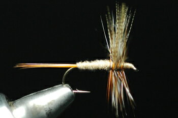 マーチブラウン