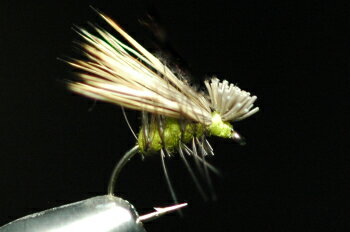 SBʥ硼ȥܥǥˡǥʥʥˡ꡼