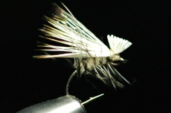 SB(ショートボディ) カディス (ブリーチ) タン