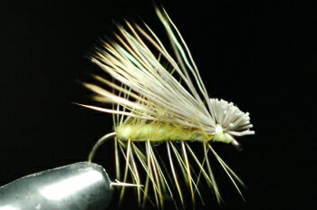 Elk Hair Caddis - エルクヘアカディス　（ナチュラル）　イエロー
