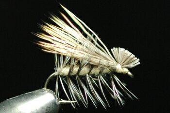 エルクヘアカディス　（ナチュラル）　タン