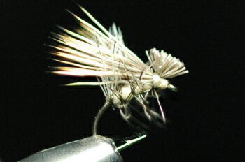 SBʥ硼ȥܥǥˡǥʥʥˡ