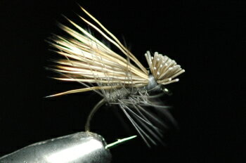 SBʥ硼ȥܥǥˡǥʥʥˡ