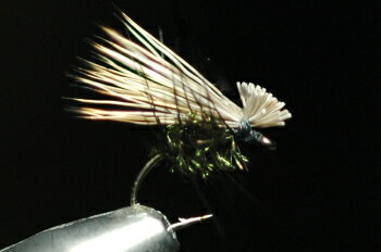 SBʥ硼ȥܥǥˡǥʥʥˡԡå