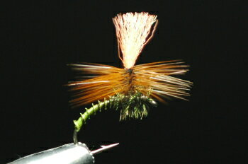 コンドルパラシュート グリーン