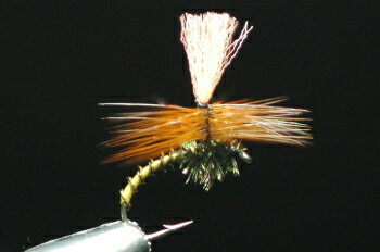 Parachute - コンドルパラシュート　イエロー