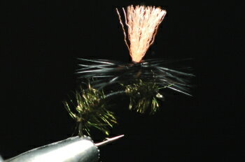 降落傘 - ピーコックパラシュート　アント