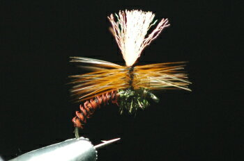 コンドルパラシュート　レッド