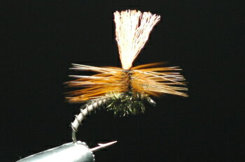 コンドルパラシュート　ナチュラル