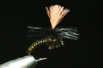 降落傘 - ピーコックパラシュート　オレンジ