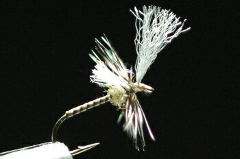 ADW/PPW　ミッジクリップル　グリズリー