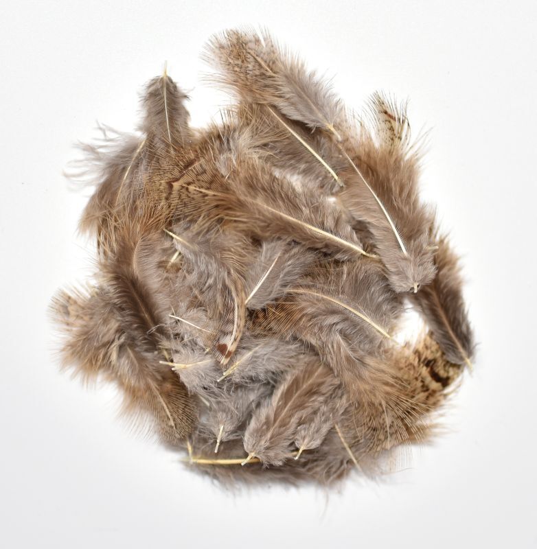 CANAL ����ʥ롡�ѡ��ȥ�å��֥饦��Хå���Partridge��Brown��Back