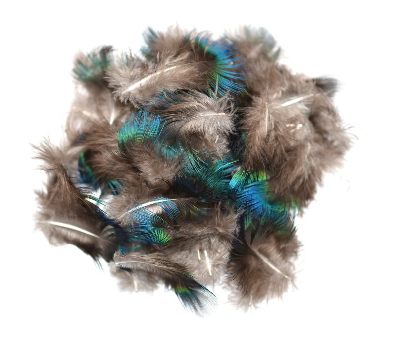 CANAL キャナル ピーコック ブルーネック PEACOCK BLUE NECK バルク