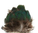 CANAL キャナル ピーコック グリーンブレスト PEACOCK GREEN BREST