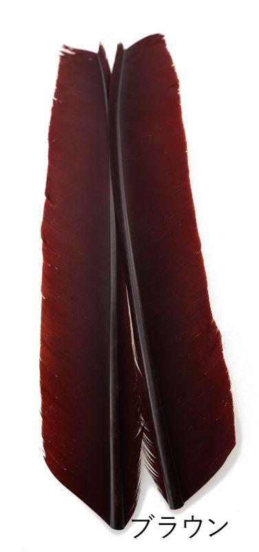 CANAL　キャナル　ピーコックバイオット　PEACOCK　BIOT