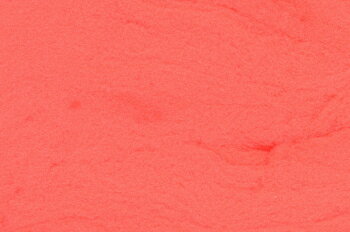 TG　エッグ　フレーム