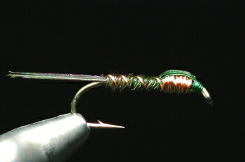 フェザントテイル　ニンフ　カッパー　グリーン